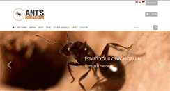 Desktop Screenshot of antskingdom.com